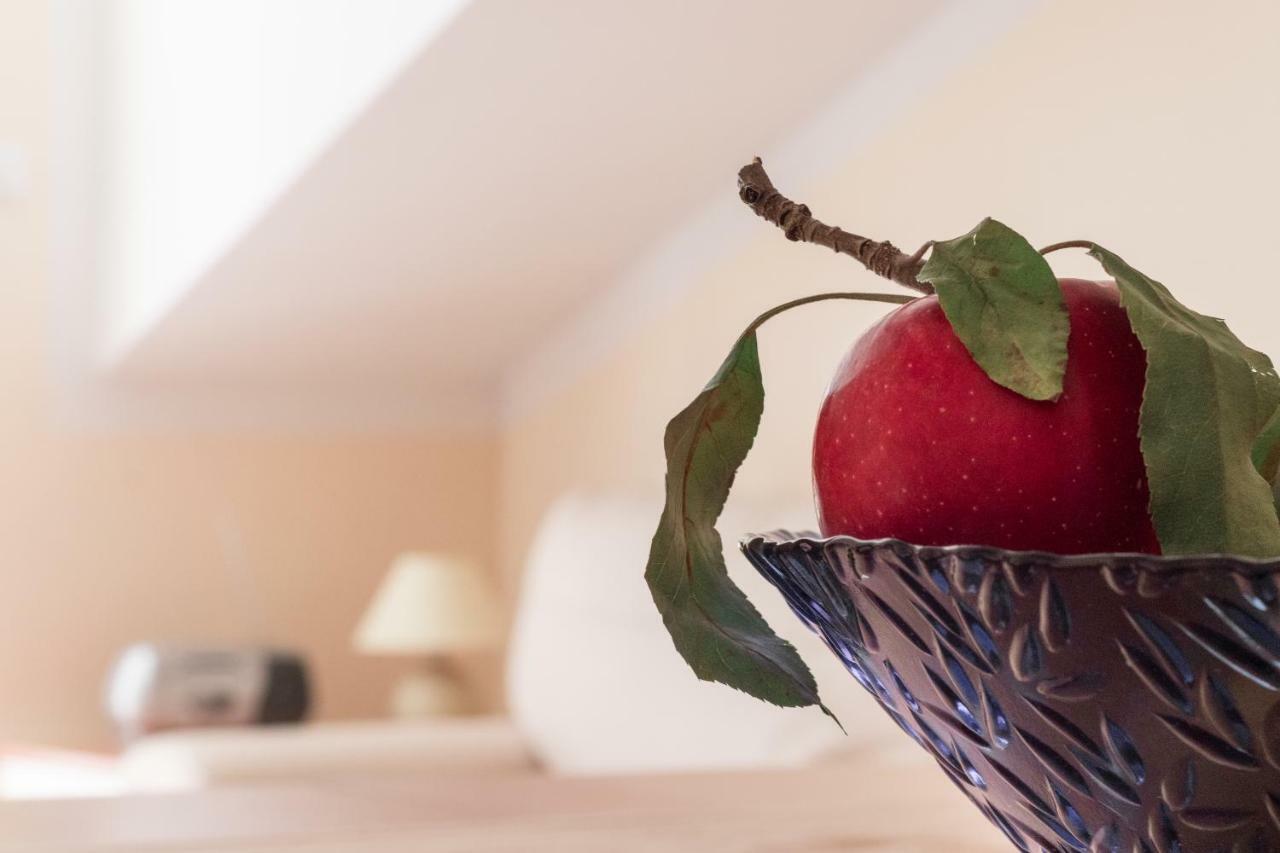 Apartman Nena Turanj Extérieur photo